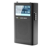 Handheld Radio - Weatherproof Outdoor Radio - Mode Listening, Long Range Reception - Lightweight for Beach, Relaxation, Seniors and Daily Use