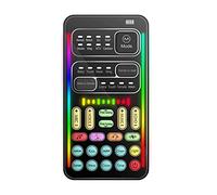 Handheld Voice Changer, Portable Multifunctional Voice Disguiser, Mini Sound with 8 Sound Effects Sound Changes, 450mAh Battery, Compatible with Mobile Phone, Computer, Tablet(I9