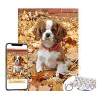 Handimake Personalized Oil Paint by Numbers Kit, DIY Canvas Oil Painting by Number Set, Custom Photo to Painting for Adults Beginners, Unique Gift for Family, Friends, Pets (16"x24"/50x60cm)