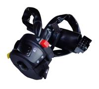 Handlebar Switch Assembly Compatible With GW250 Inazuma GW 250 Motorcycle Horn Turn Headlight Start Control(Left Side)