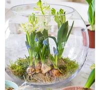Handmade Clear heavy Glass Sphere Vase Fish Tank Turtle Jar Bowl 25 cm Aquarium