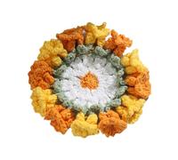 Handmade Crochet Coaster Set - Cute Fruit Drink Mats, Soft Cup Mat, Table Protector, Decorative Desk Accessory for Home | Coffee Table Coasters for Daily Use