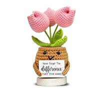 Handmade Crochet Flower Pot with Positive Quote - “Never Forget The Difference That You Make” | Cute Appreciation Gift for Coworker, Best Friend, Nurse, Mum | Desk Decor, Thank You Gift