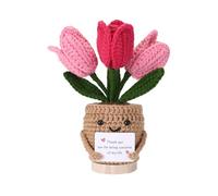 Handmade Crochet Tulip with “Thank you for being the sunshine of my life“Sign - Heartfelt Gratitude Gift for Parents, Teachers, Friends & Loved Ones - Christmas, Birthday or to Say Thank You(Pink)