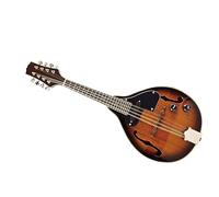 Handmade Electro-acoustic 8-string Mandolin Sapele Wood Panel Mandolin With Storage Bag Mandolin for Student
