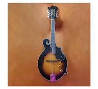 Handmade F-shaped Electric Box Electric Mandolin 8 String Spruce Maple Matte Plywood Mandolin Mandolin for Student