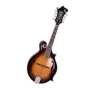 Handmade F Style Mandolin Solid Spruce Top Solid Maple Back And Side Maple Headstock Mandolin for Student