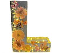 Handmade Floral Night Light, 2026 Floral Resin Night Light Letter, Flower Resin Letter Lamp with LED Lights, DIY Handmade Creative Letters Flower Lamp, For Various (L)