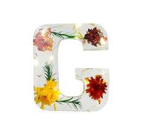 Handmade Floral Night Light Floral Resin Night Light Letter Floral Resin Night Light Flower Resin Letters With LED Light Floral Resin Letter Nightlight CLS737 (E, 12X2cm)