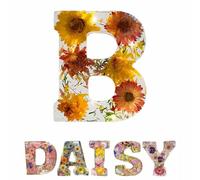 Handmade Floral Night Light, Floral Resin Night Light Letter, Pressed Flower Resin Letters with LED Light, Floral Resin Letter, Floral Resin Nightlight, Floral Resin Letter Nightlight (Colour-B)
