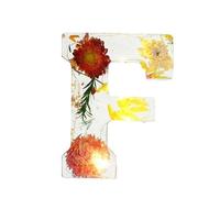 Handmade Floral Night Light Resin Letter Flower Letters With LED Nightlight Banana Lamp (D, 12X2cm)