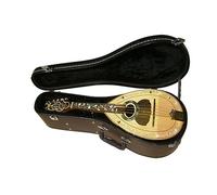 Handmade Full Single 8 String Mandolin Instrument With Storage Bag Mandolin for Student
