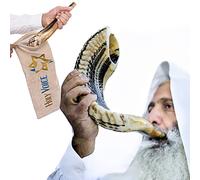 Handmade Israel Kosher Ram Shofar - 14" to 16" Musical Horn with Shofar Bag - Decorative and Functional Jewish Gifts for Women and Men by Holy Voice, Half Polished, 12" to 22"