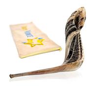 Handmade Israel Kosher Ram Shofar - Musical Horn with Shofar Bag - Decorative and Functional Jewish Gifts for Women and Men by Holy Voice, Half Polished, 12"-22"