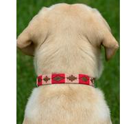 Handmade Leather Polo Dog Collar - Embroidered Pink Polo Design - Argentinian Style - Durable, Stylish & Comfortable Medium to Large