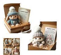Handmade Mini Bunny Hug Cute Easter Gift, Mini Bunny Hugs in Box, Emotional Support Rabbit with Inspirational Card, Soft Floppytiny Easter Bunnies, Inspirational Easter Gifts for Women Men (2pc-C)