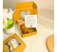 Handmade Mini Plush Teddy Bear in Box, My Little Worry Bear for Emotional Support with Hug Card - Get a Hug Bears Soft Plushie for Anxiety, Crochet Inspirational Gift for Friends & Family(Coffee)