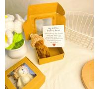 Handmade Mini Plush Teddy Bear in Box, My Little Worry Bear Graduation Bears with Positive Card Pocket Hug Adorable Little Doll in A Box Emotional Support Inspirational Gifts (Coffee)