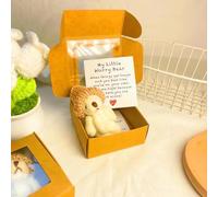 Handmade Mini Plush Teddy Bear in Box, My Little Worry Bear Graduation Bears with Positive Card Pocket Hug Adorable Little Doll in A Box Emotional Support Inspirational Gifts (White)