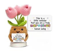 Handmade Positive Tulip Crochet, Valentines Day Gifts This is A Little Reminder Inspirational Positive Gift for Women Teacher Mom Friend Coworker Thank You Appreciation Knitted Decor (IMPORTANT)