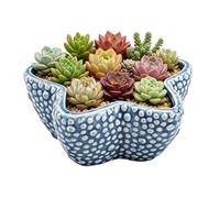 Handmade Premium Ceramic Ocean Theme Planter, Blue Glazed Flower Pot