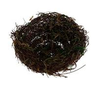 Handmade Rattan Bird Nest for Parrots Cockatiel Natural Vine Bed 6 Inch Diameter Eco Friendly Pet Birdhouse