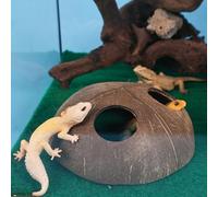 Handmade Reptile Shelter, Natural Double Entry Lizard Cave, Decorative Terrarium Cave for Geckos Chameleons Tarantulas, Quality Small Animal Habitat Decor for Glass Tank Enclosures