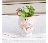 Handmade Resin Self Watering Toilet Succulent Pot for Indoor Outdoor Plants