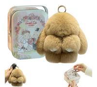 Handmade Soft Bunny Charms Boxed Edition, 2024 Newest Bunny Keychain Plush, Cute Rabbit Bag Charm With Exquisite Box, Fluffy Keyring for Women and Men (C)