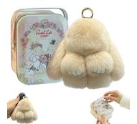 Handmade Soft Bunny Charms Boxed Edition, 2024 Newest Bunny Keychain Plush, Cute Rabbit Bag Charm With Exquisite Box, Fluffy Keyring for Women and Men (B)