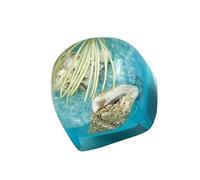 Handmade Translucent Resin Key Caps with Vivid Colour Options and Underwater Themes for Mechanical Keyboards Adjustable Translucent Keycards