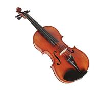 Handmade Violin 4/4 Adult Student Beginners Performance Maple Violin Professional Musical Instrument With Parts (Color : Violin Set)