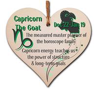 Handmade Wooden Hanging Heart Plaque Gift Signs of the Zodiac Capricorn Astrological Star Sign Keepsake Card Alternative