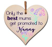Handmade Wooden Hanging Heart Plaque perfect for new Nannies fun special keepsake Only the best Mums get promoted from grandchildren card alternative