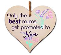 Handmade Wooden Hanging Heart Plaque perfect for new Nans fun special keepsake Only the best Mums get promoted from grandchildren card alternative