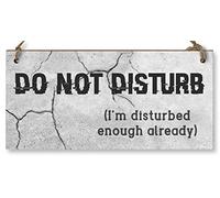 Handmade Wooden Hanging Wall Plaque Do Not Disturb Sign I'm Disturbed Already Funny Rude Joke Novelty Gift