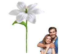 Handmade Woolen Flowers | Exquisite Artificial Flower Decor Knitted Flower Bouquet | Dining Table Centerpieces Flowers Practical Happy Birthday Forever Flowers for Girlfriend Mom Sister