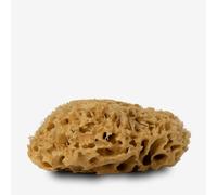 Handover : Natural Honeycomb Sea Sponge : Medium Approx. 4.5 - 5 in