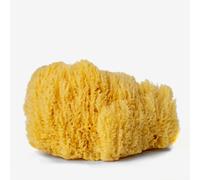 Handover : Natural Sea Sponge : Extra Large Approx. 6.5 - 7 in