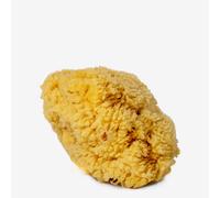 Handover : Natural Sea Sponge : Medium Approx. 5.5in