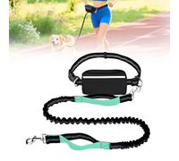 Hands Free Dog Leash, Adjustable Belt Cord with Running Pack, Double Padded Handles, Reflective Bungee Cord for Dog Walking, Jogging and Running (Light Green, 1 Leash)