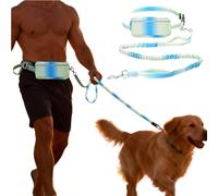 Hands Free Dog Leash with Zipper Pouch, Dual Handles and Durable Reflective Bungee for Walking, Jogging and Running Medium Large Dog (Green)