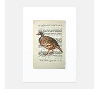 Hands & Hearts Partridge vintage book page art print - No frame
