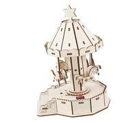 Hands on Wooden Carousel Science Set for Kids Educational Toy Assembly Fun Motor Skills Improvement and Physics Learning Educational Science Carousel Set Safe for Motor Skills Development Physics