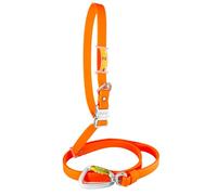 Handsfree Dog Lead, Waterproof, Made in Spain, Aluminum Buckle, PVC Coated Strap, Adjustable for Small, Medium and Large Dogs. Orange. 2.5cm * (125cm-225cm).