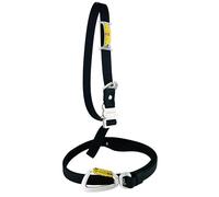 Handsfree Dog Lead, Waterproof, Made in Spain, Aluminum Buckle, PVC Coated Strap, Adjustable for Small, Medium and Large Dogs. Black. 2.5cm * (125cm-225cm).