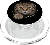 Handsome Brown Tabby Cat Peeking Through PopSockets PopGrip for MagSafe