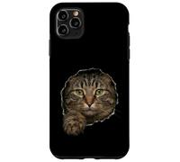 Handsome Domestic Medium Hair Tabby Peeking Through Case for iPhone 11 Pro Max