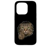 Handsome Domestic Medium Hair Tabby Peeking Through Case for iPhone 15 Pro