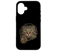 Handsome Domestic Medium Hair Tabby Peeking Through Case for iPhone 16